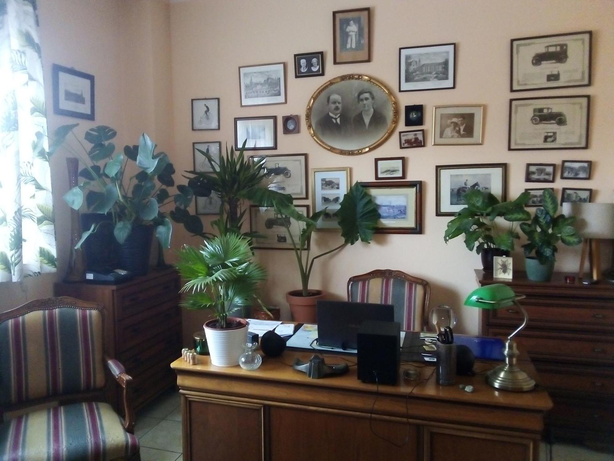Villa Minerva Ζιελόνα Γκόρα Εξωτερικό φωτογραφία